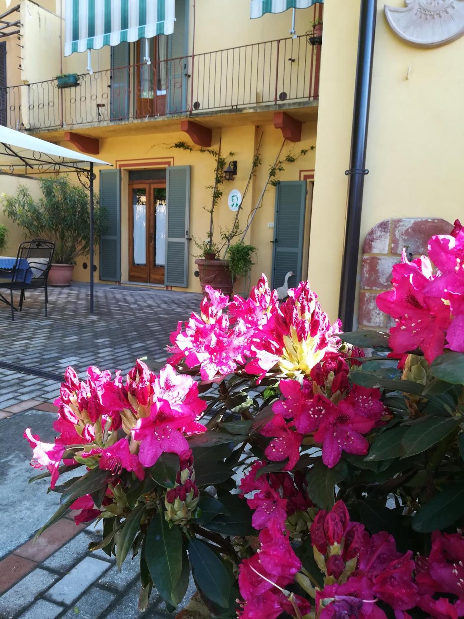 L'Adele Bed&Breakfast Occimiano Exterior foto