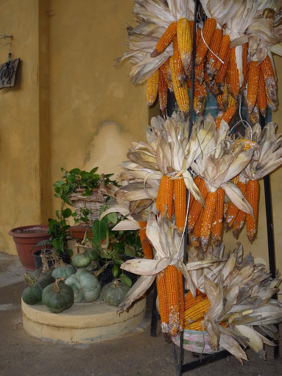 L'Adele Bed&Breakfast Occimiano Exterior foto